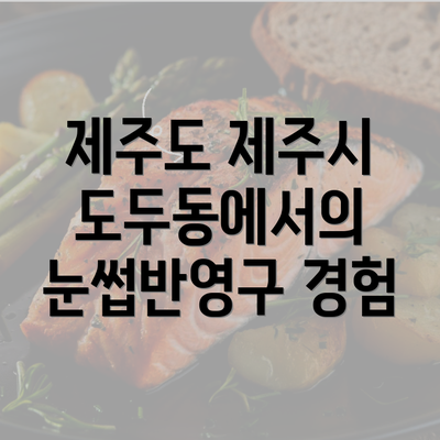 제주도 제주시 도두동에서의 눈썹반영구 경험