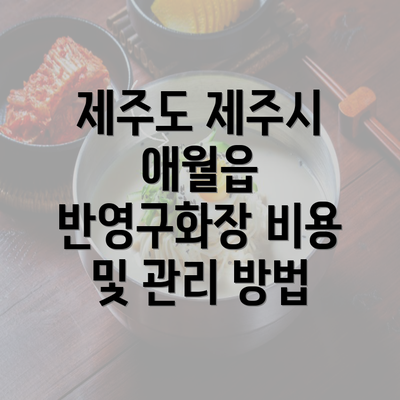 제주도 제주시 애월읍 반영구화장 비용 및 관리 방법