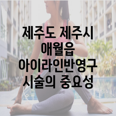 제주도 제주시 애월읍 아이라인반영구 시술의 중요성