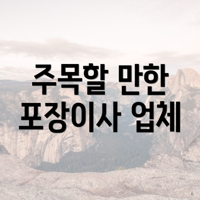 주목할 만한 포장이사 업체