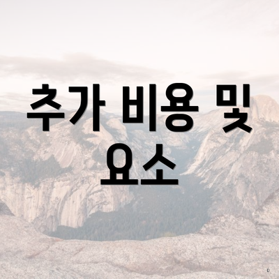 추가 비용 및 요소