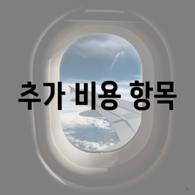 추가 비용 항목