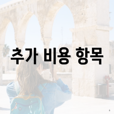 추가 비용 항목