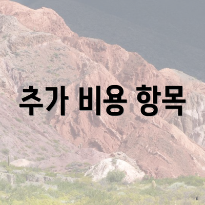 추가 비용 항목