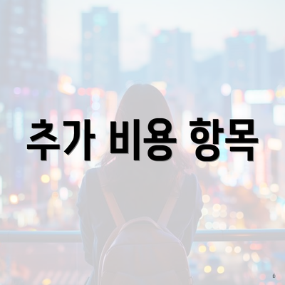 추가 비용 항목