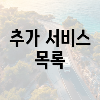 추가 서비스 목록