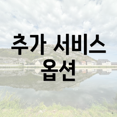 추가 서비스 옵션