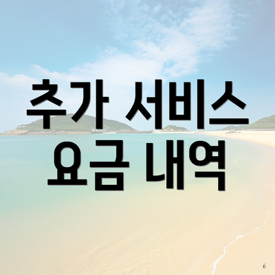 추가 서비스 요금 내역