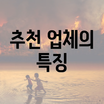 추천 업체의 특징