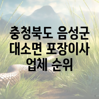 충청북도 음성군 대소면 포장이사 업체 순위