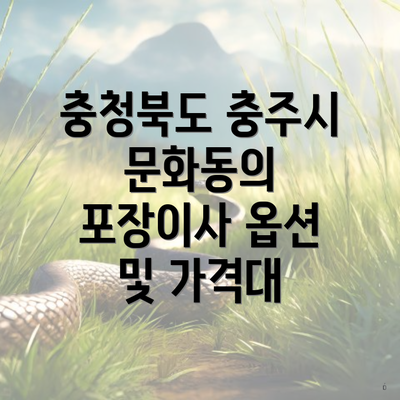 충청북도 충주시 문화동의 포장이사 옵션 및 가격대