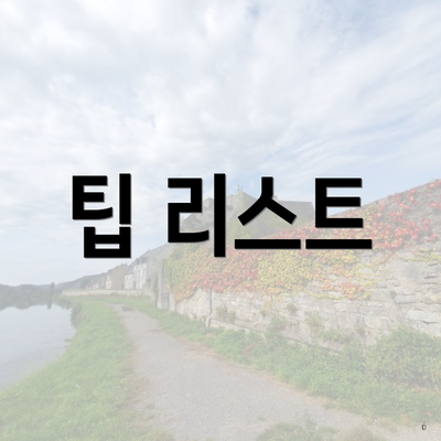 팁 리스트