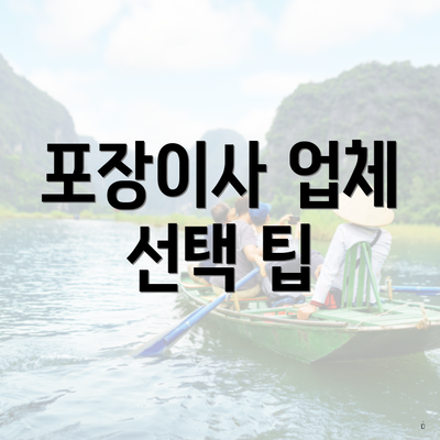 포장이사 업체 선택 팁