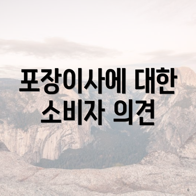 포장이사에 대한 소비자 의견