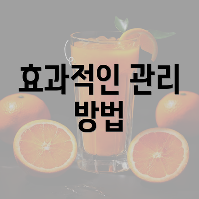 효과적인 관리 방법