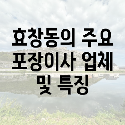 효창동의 주요 포장이사 업체 및 특징