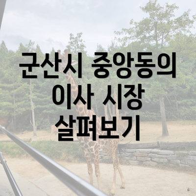 군산시 중앙동의 이사 시장 살펴보기