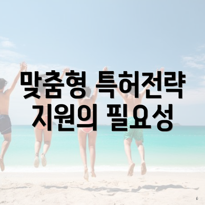 맞춤형 특허전략 지원의 필요성