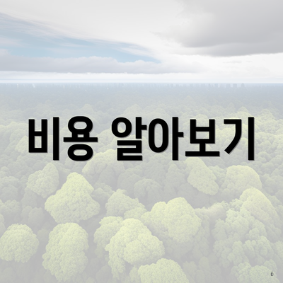 비용 알아보기