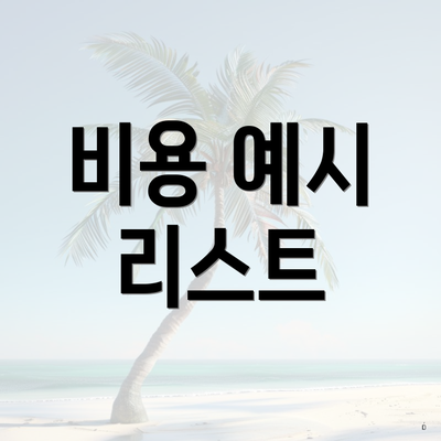 비용 예시 리스트