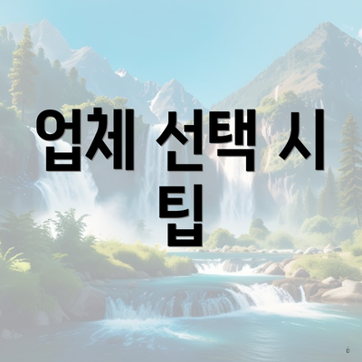 업체 선택 시 팁