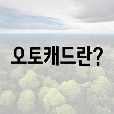오토캐드란?