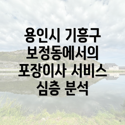 용인시 기흥구 보정동에서의 포장이사 서비스 심층 분석