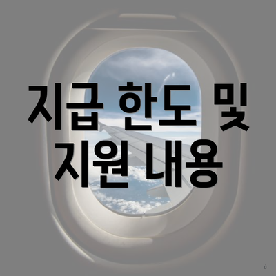지급 한도 및 지원 내용
