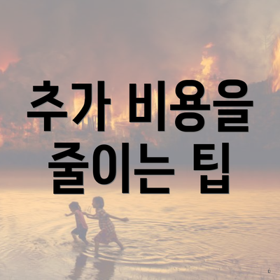 추가 비용을 줄이는 팁