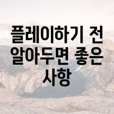 플레이하기 전 알아두면 좋은 사항