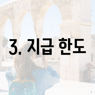 3. 지급 한도