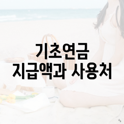 기초연금 지급액과 사용처