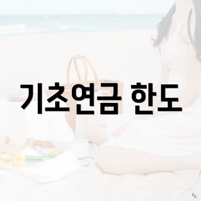 기초연금 한도