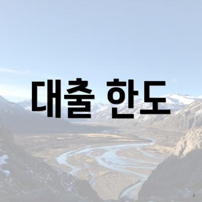 대출 한도