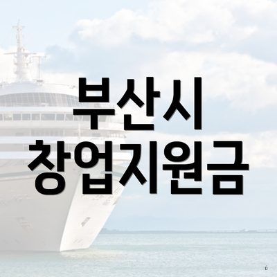 부산시 창업지원금