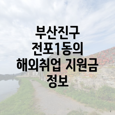 부산진구 전포1동의 해외취업 지원금 정보