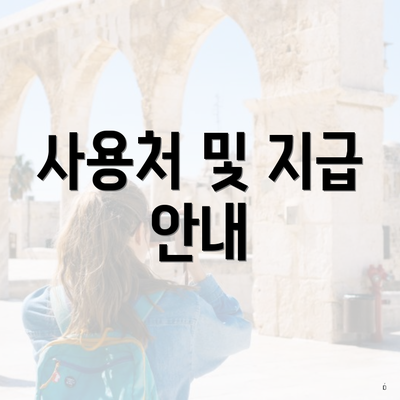 사용처 및 지급 안내