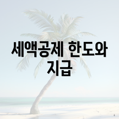 세액공제 한도와 지급