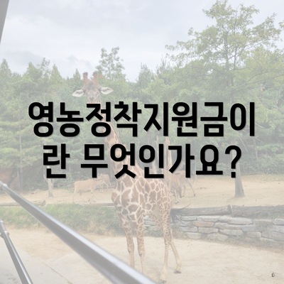 영농정착지원금이란 무엇인가요?