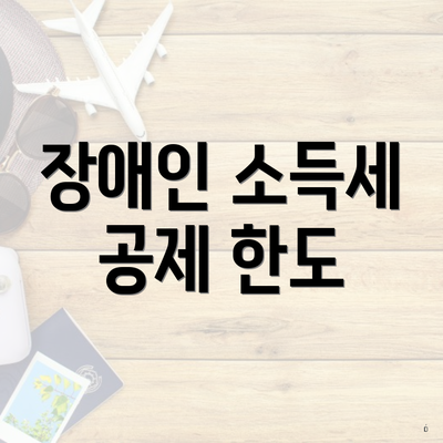 장애인 소득세 공제 한도