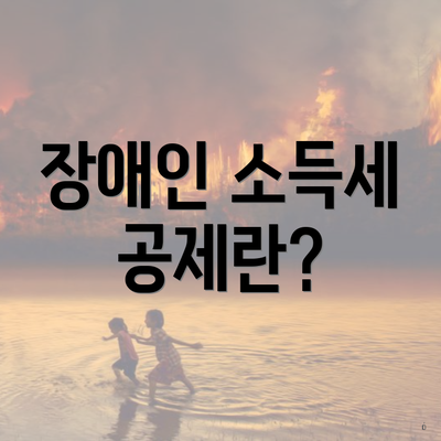 장애인 소득세 공제란?