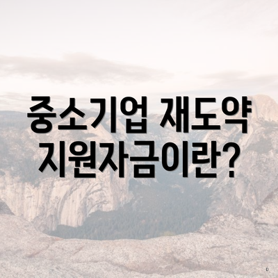 중소기업 재도약지원자금이란?