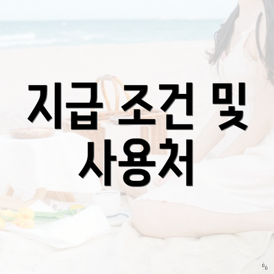 지급 조건 및 사용처
