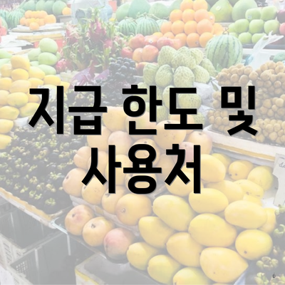 지급 한도 및 사용처