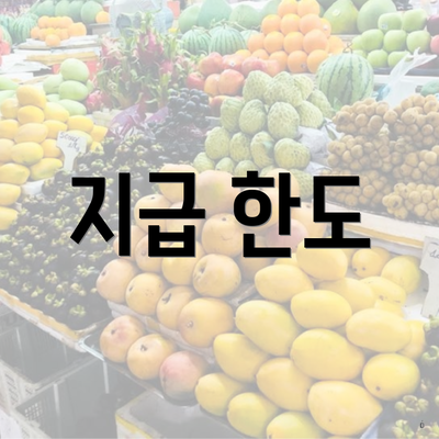 지급 한도