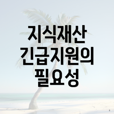 지식재산 긴급지원의 필요성