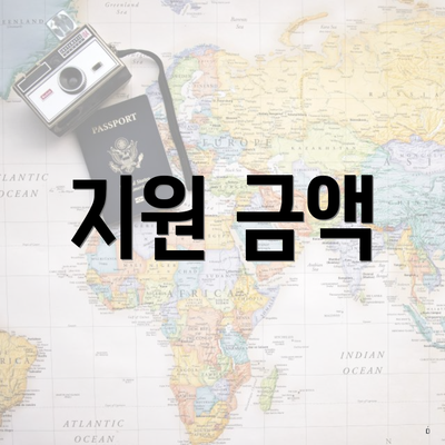 지원 금액