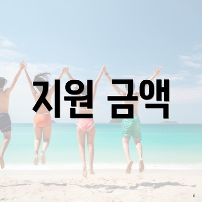 지원 금액