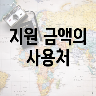 지원 금액의 사용처