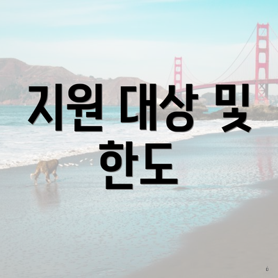 지원 대상 및 한도